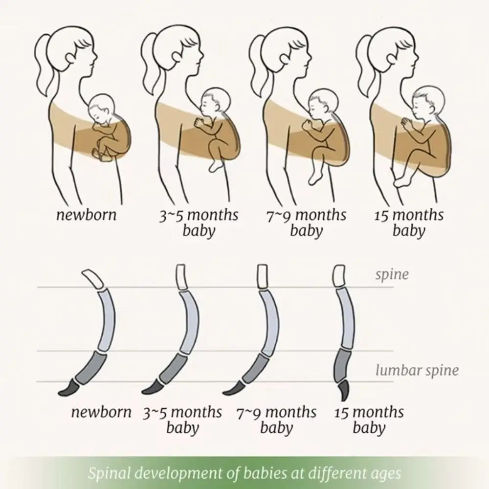 Porte-Bébé Écharpe Ergonomique – Portage Ventral Confort & Allaitement – Nouveau-né à 36 Mois
