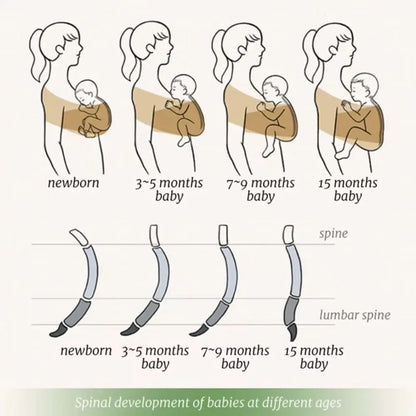 Porte-Bébé Écharpe Ergonomique – Portage Ventral Confort & Allaitement – Nouveau-né à 36 Mois